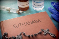 argumentative essay topics euthanasia