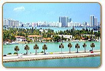Miami Term Papers Miami writing service