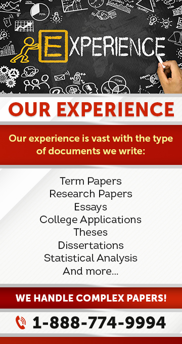 custom term paper writing service